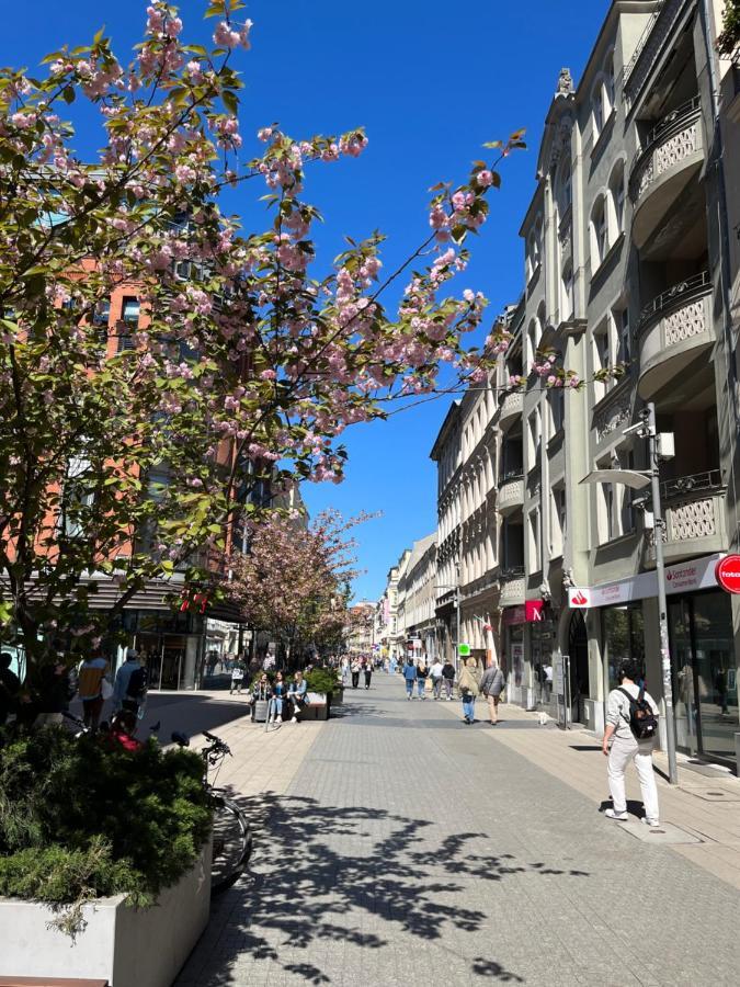 Sloneczny Apartament Centrum Poznania Klimatyzacja Wi-Fi Tv Zmywarka Pralka Piekarnik Buitenkant foto